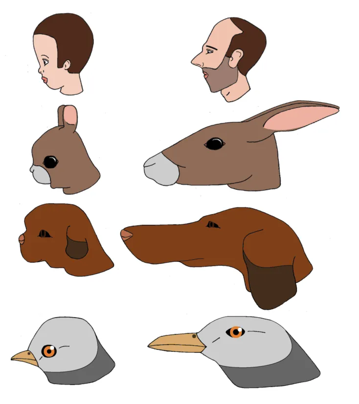 Têtes de petits et d'adultes chez l'humain, le lapin, le chien et l'oiseau, d'après le schéma de Konrad Lorenz