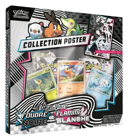 Coffret Collection Poster Foudre Noire et Flamme Blanche